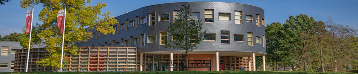 gemeente-ooststellingwerf-stad-dorp-de-werven
