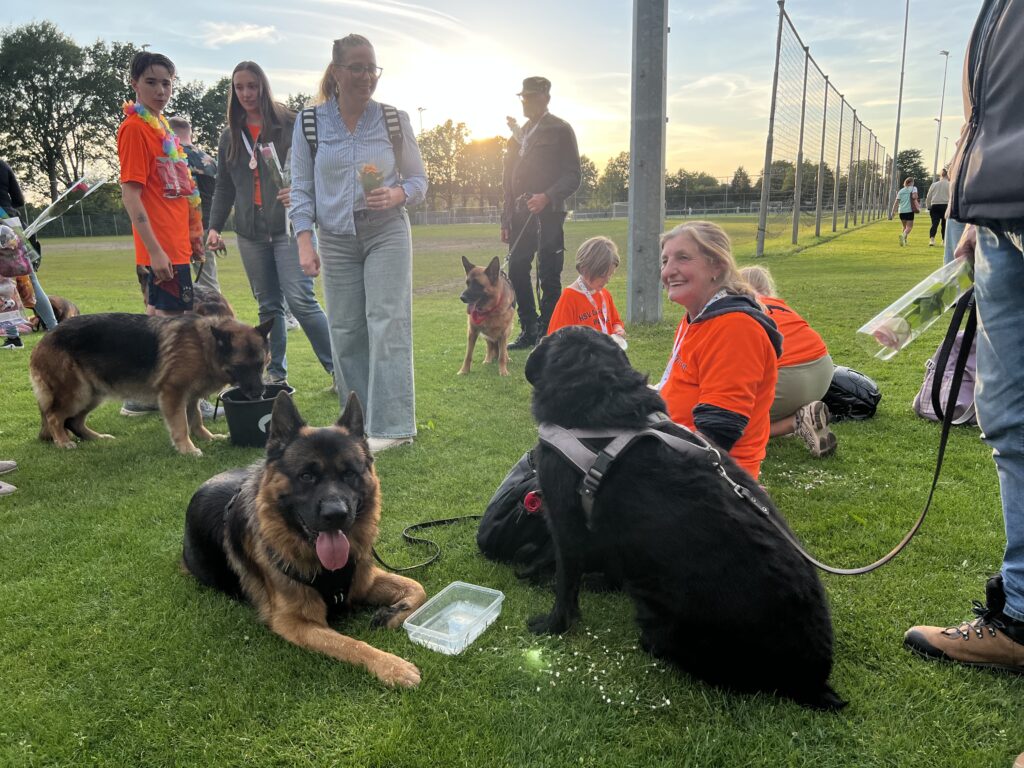 Slotavond van de Avond4daagse Wolvega